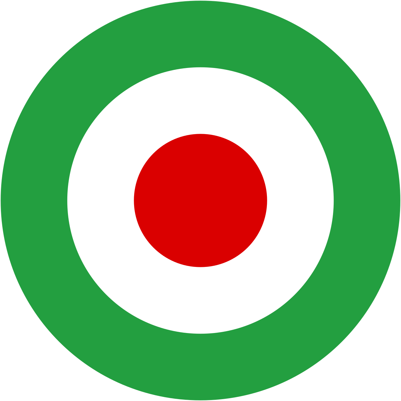 Iran's Strategic F-14 Jets Neutralized: Middle East Tensions Rise